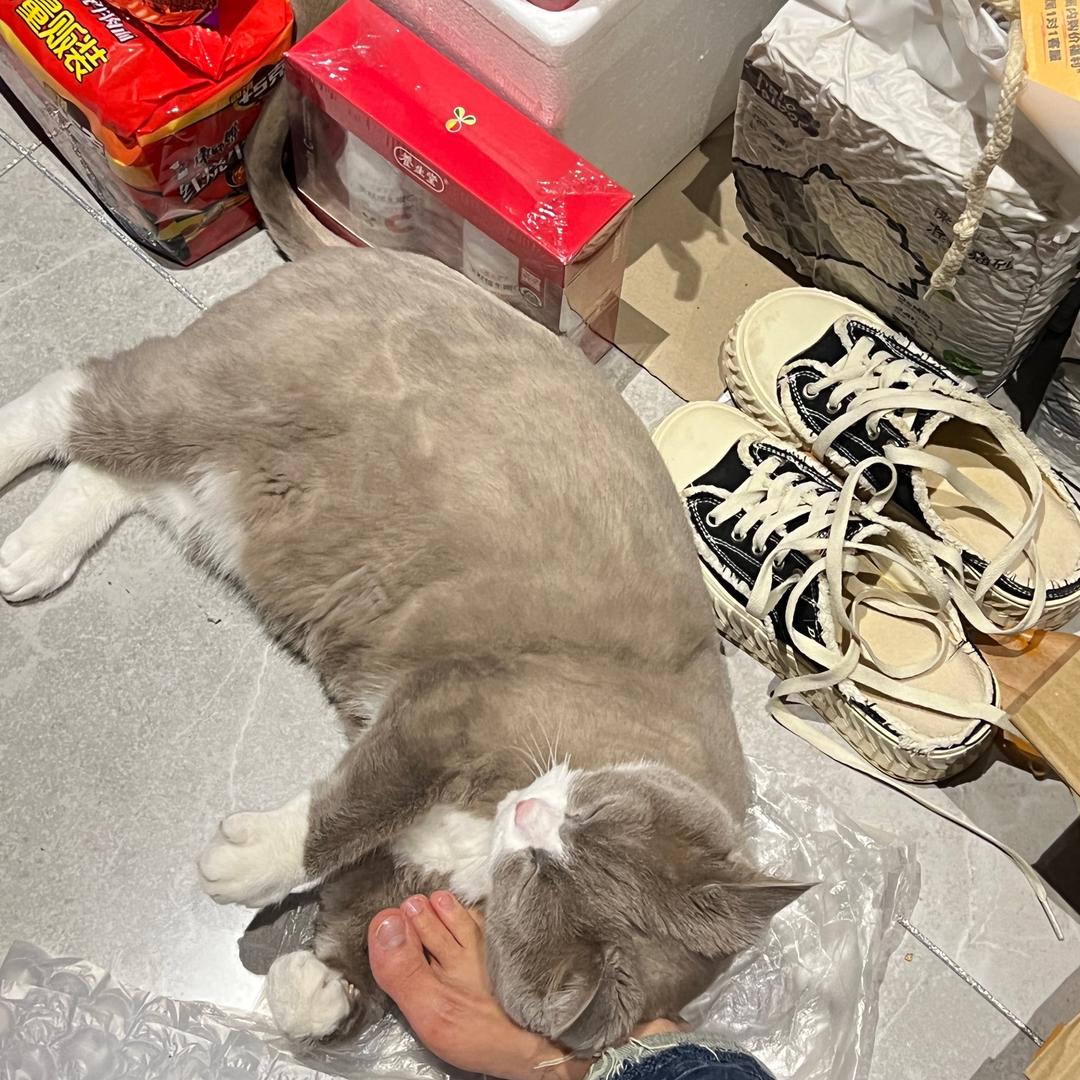 每天取快递
