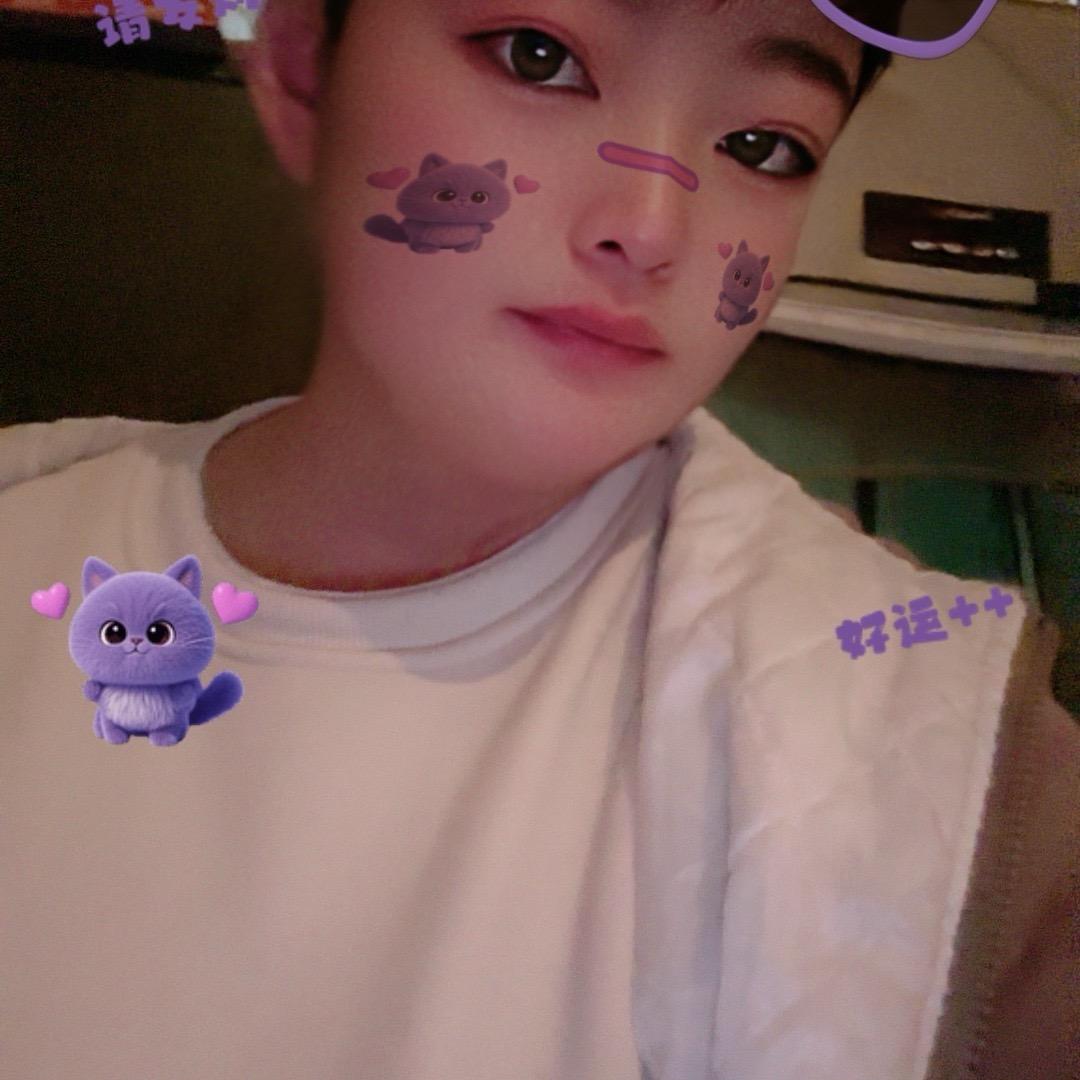 🐰𓃹