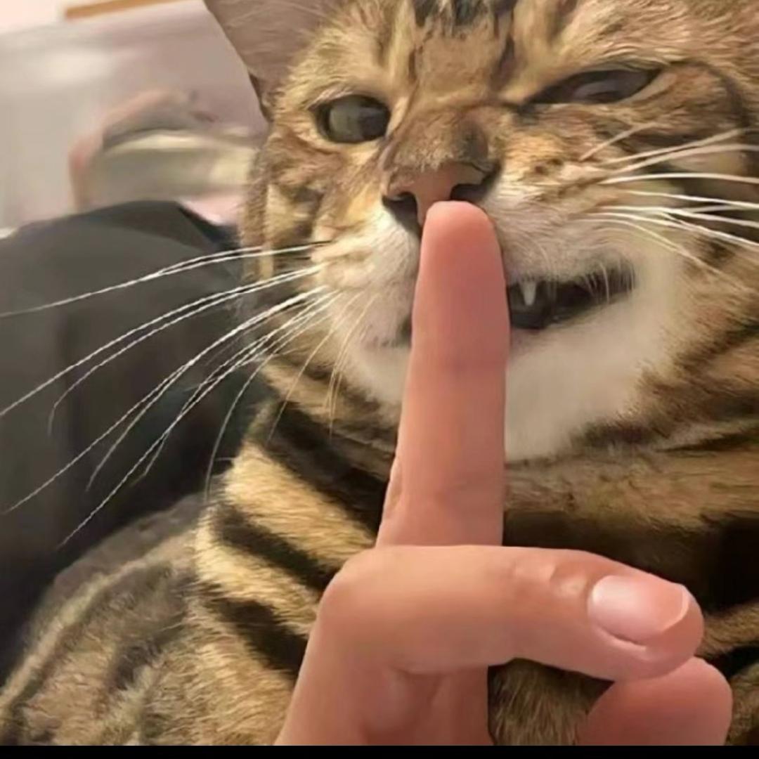 有点陈先生