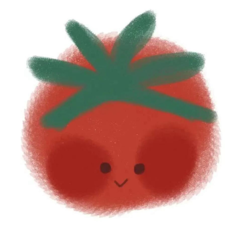 迷你西红柿🍅