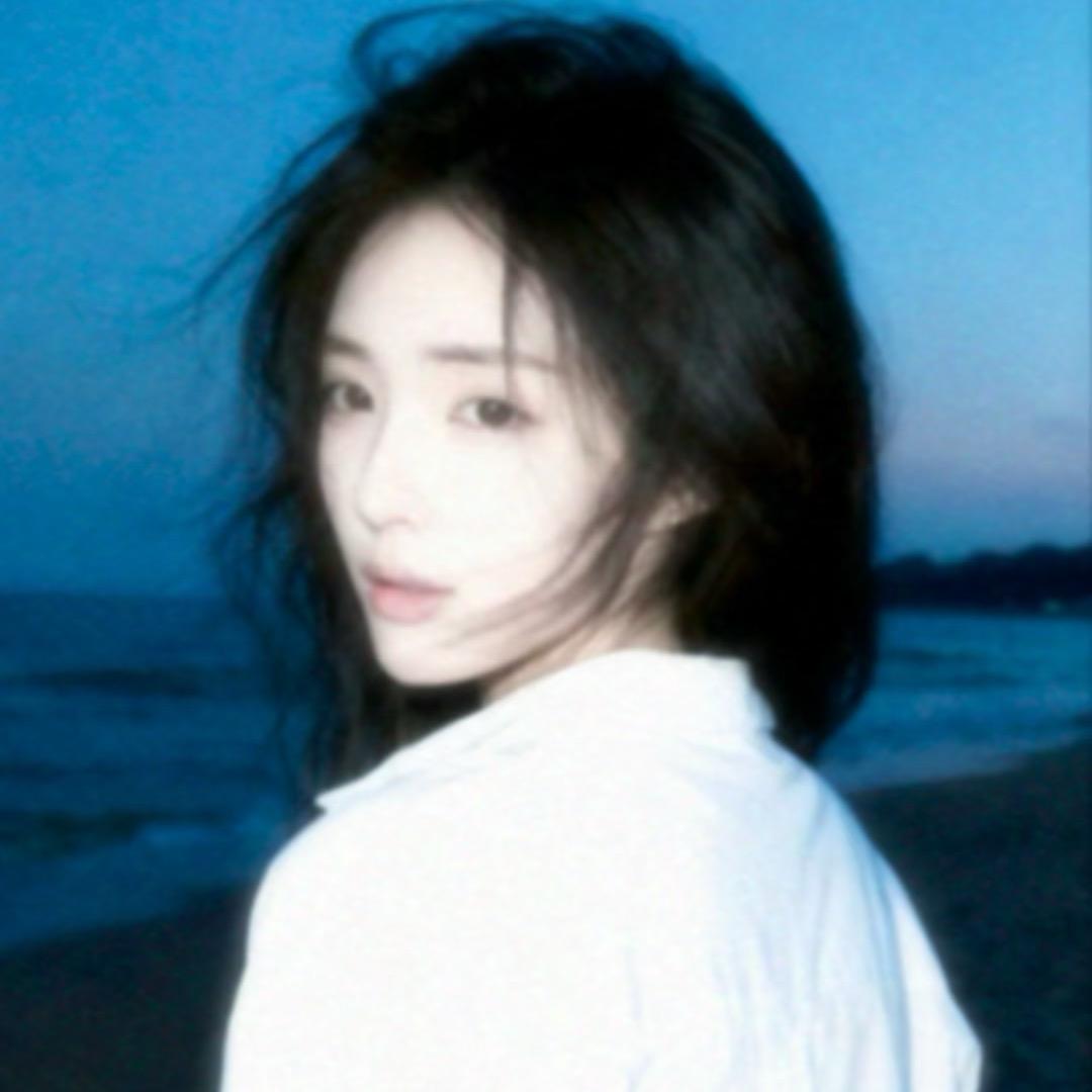 美人姨