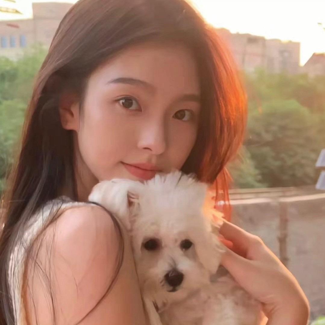 杨小羊🦙
