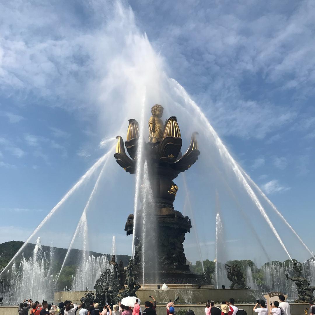 ✨好物分享《珍》