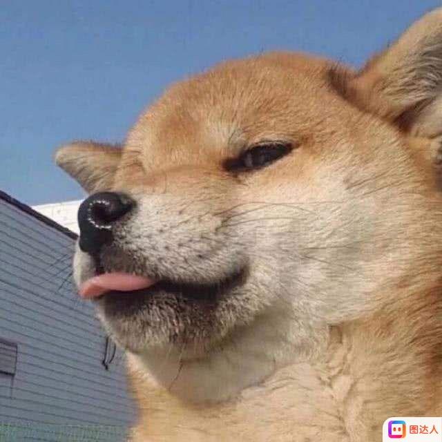 为爱执笔✍️