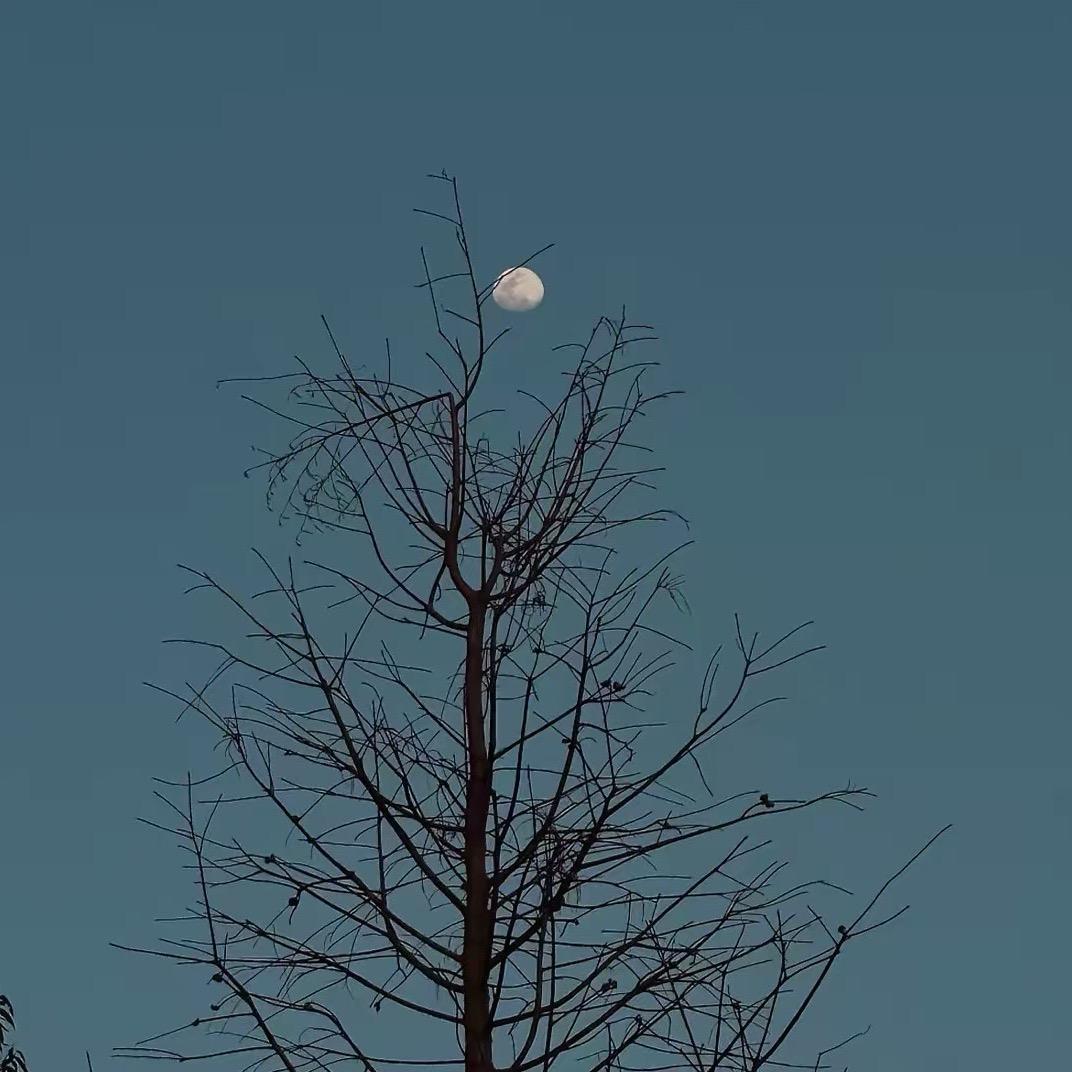 禾下乘凉梦