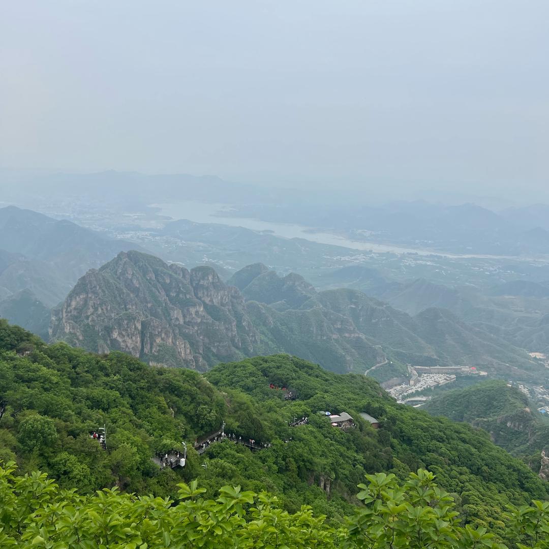 憨憨豆