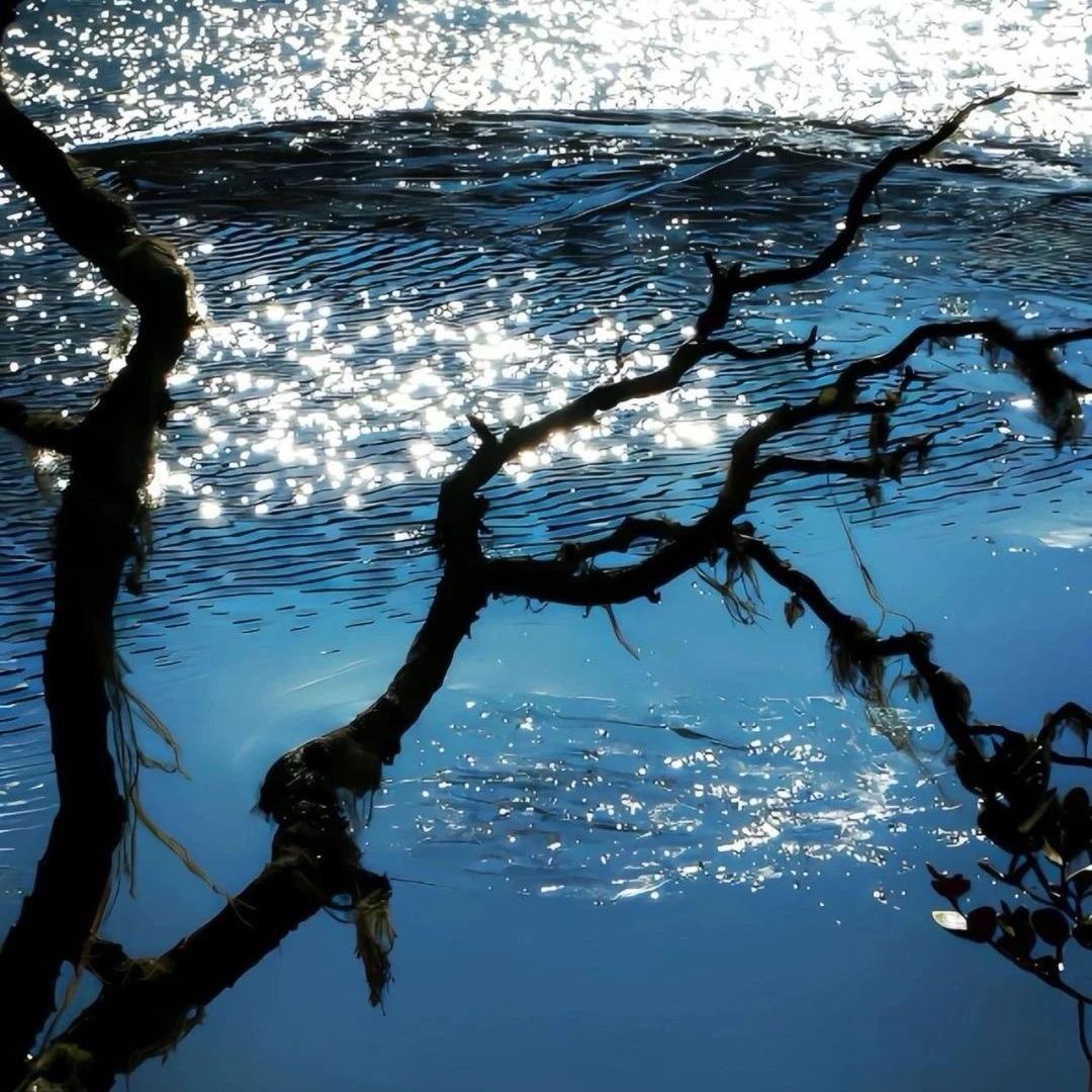 🍬唐唐的好物分享