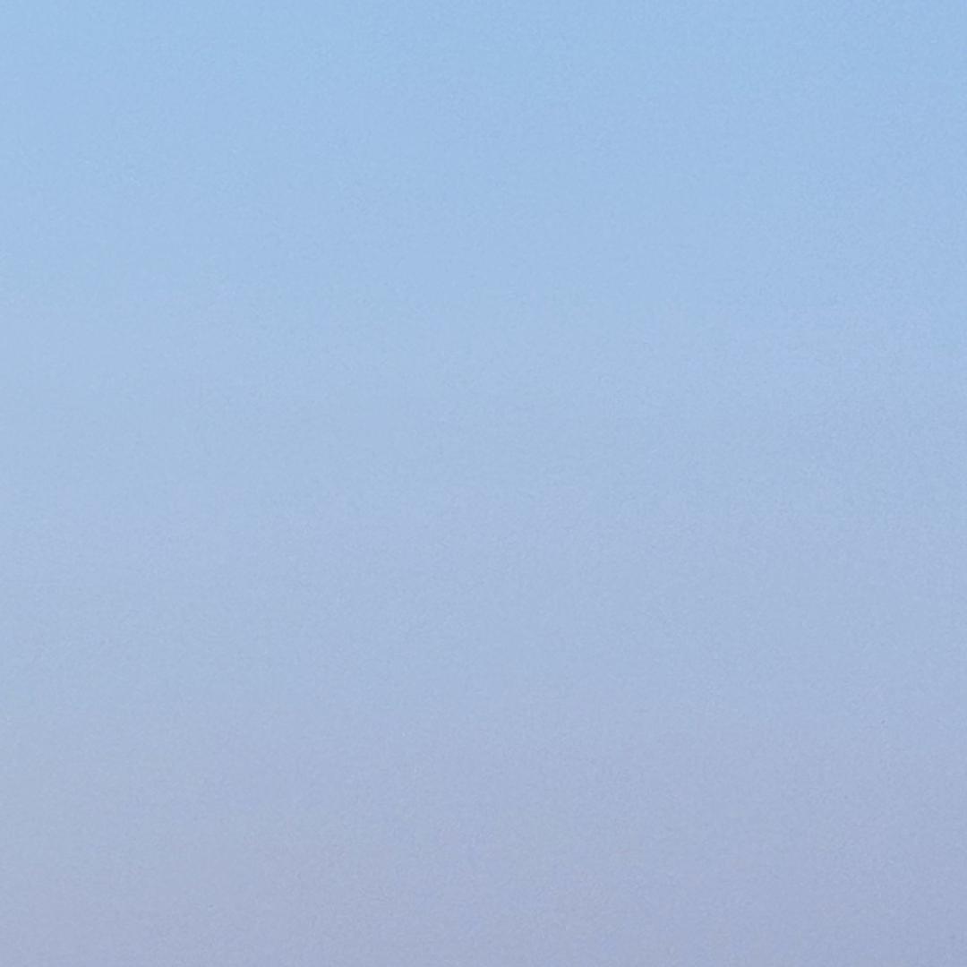 没名字