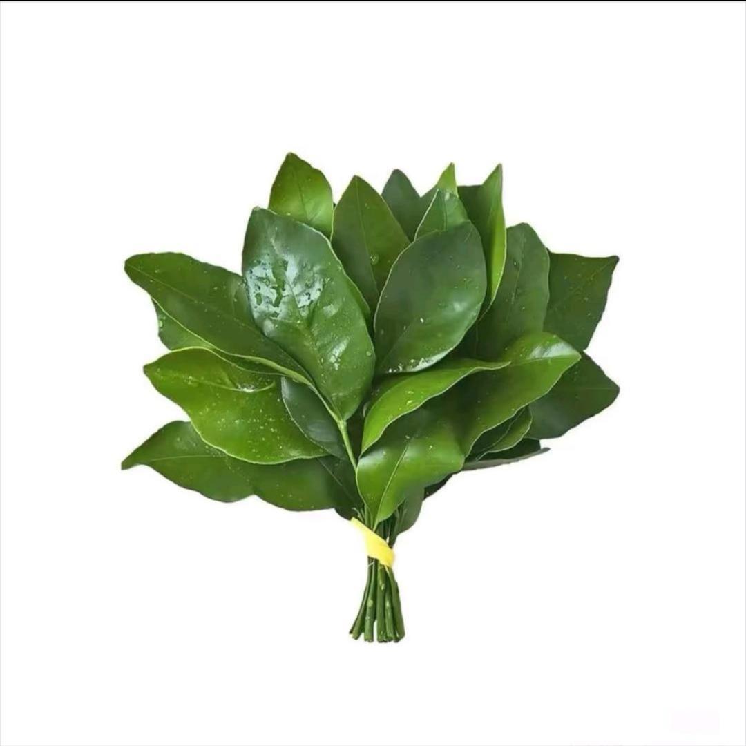 秦菜炒又。