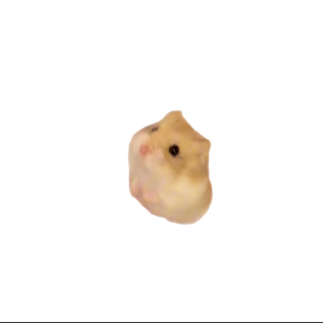 小婷宝