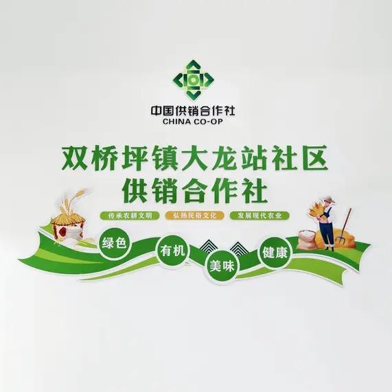 大龙站供销社农产品