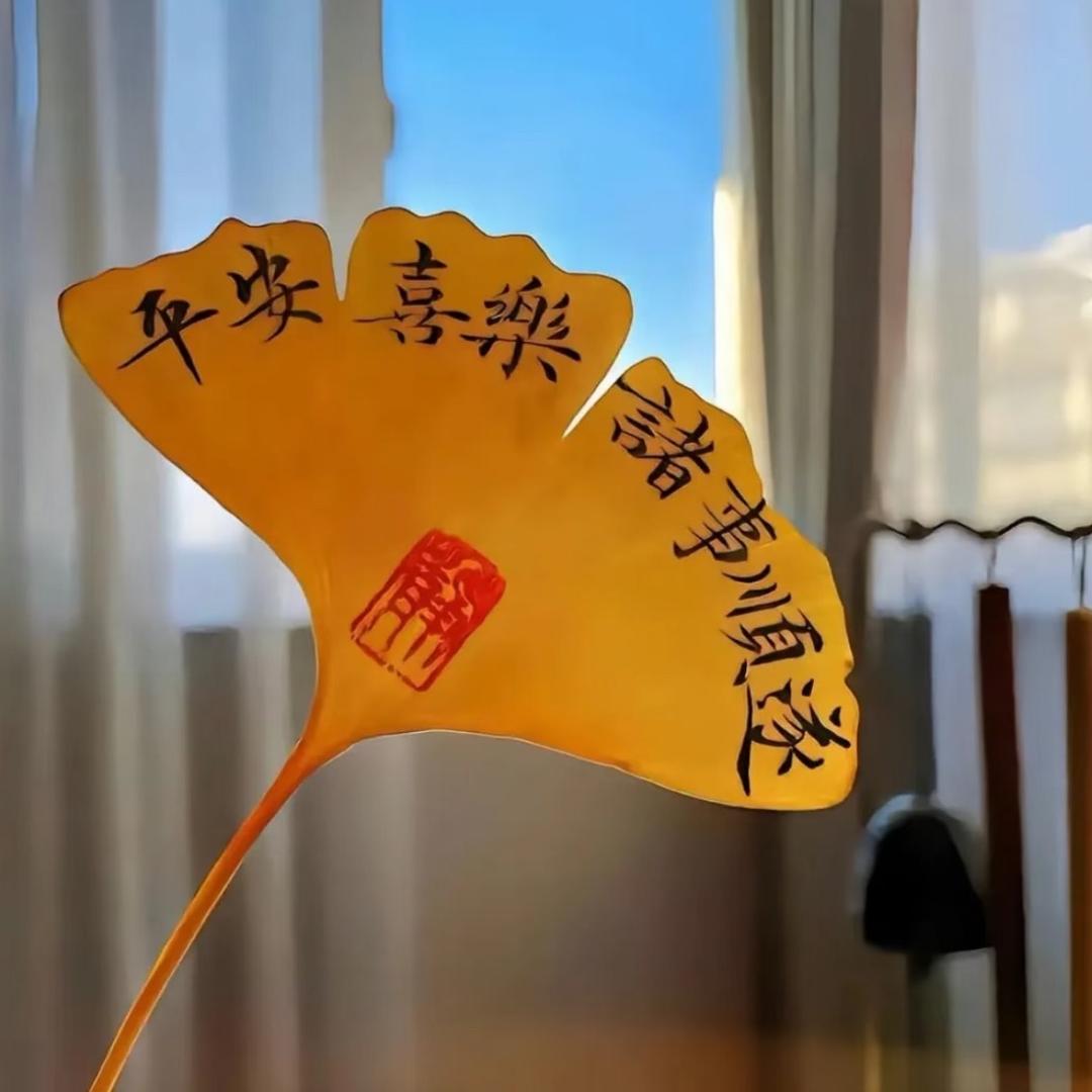 多多喜乐