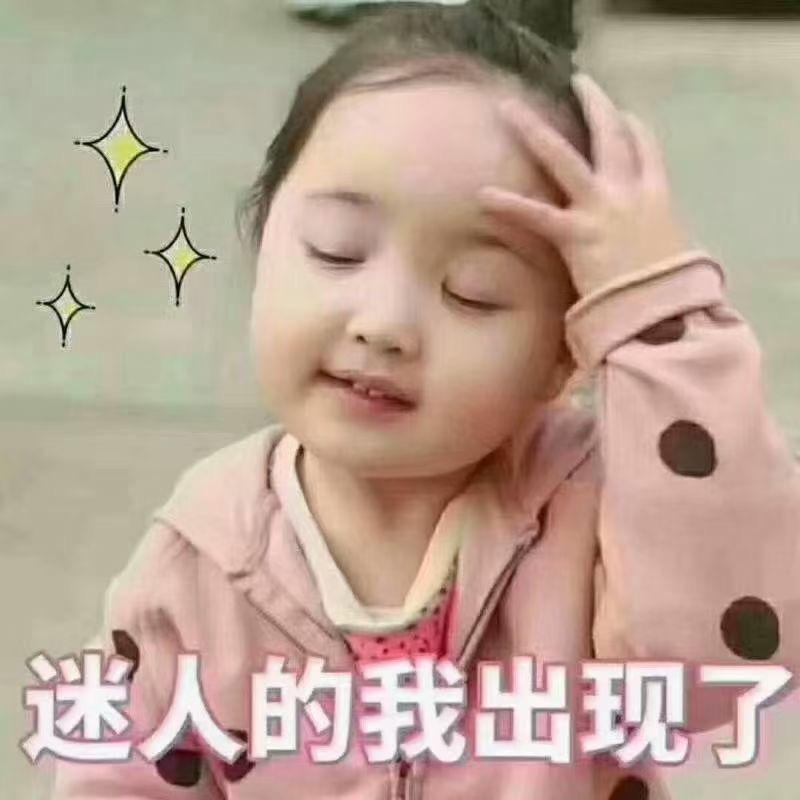 城市猎人