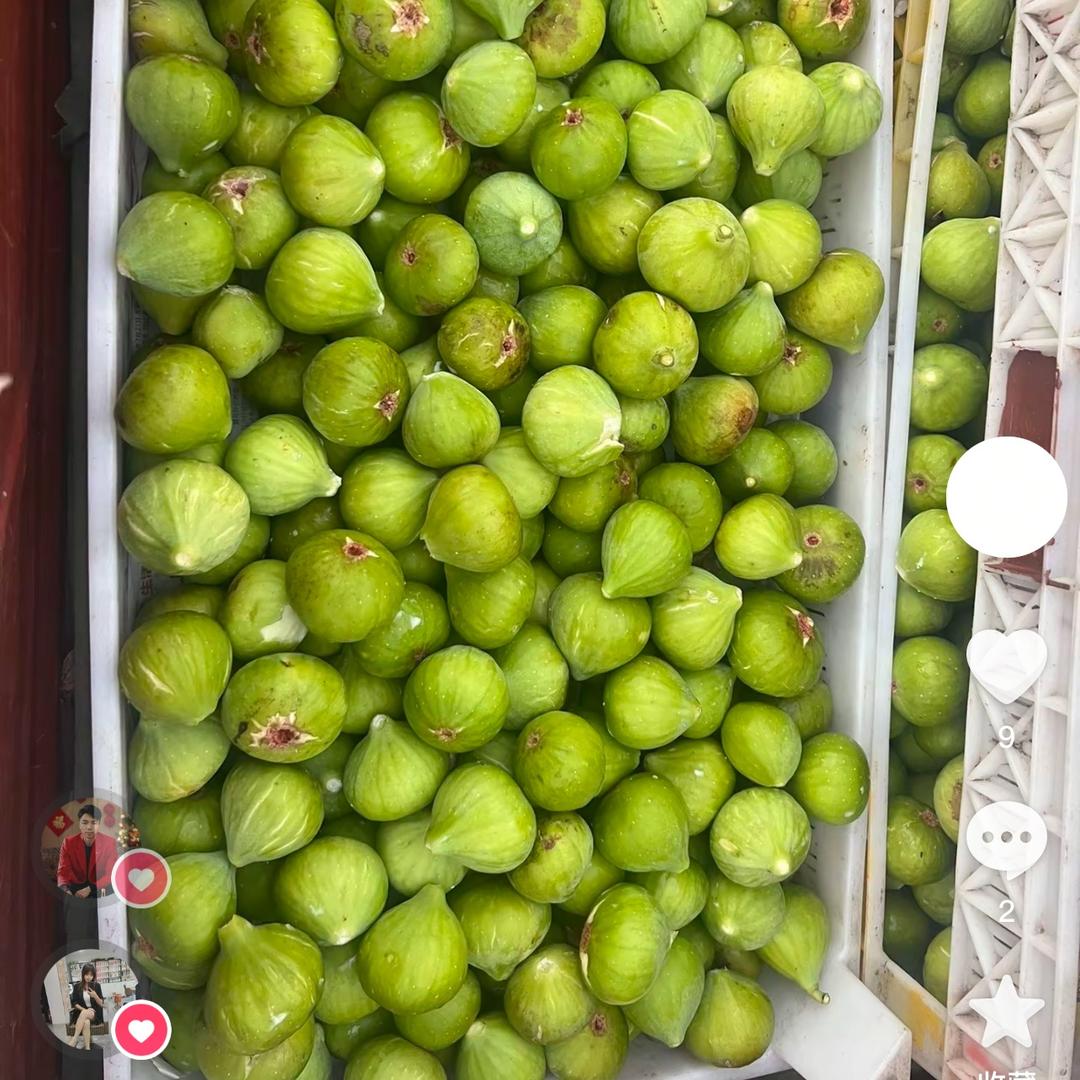 甜甜蜜蜜的无花果