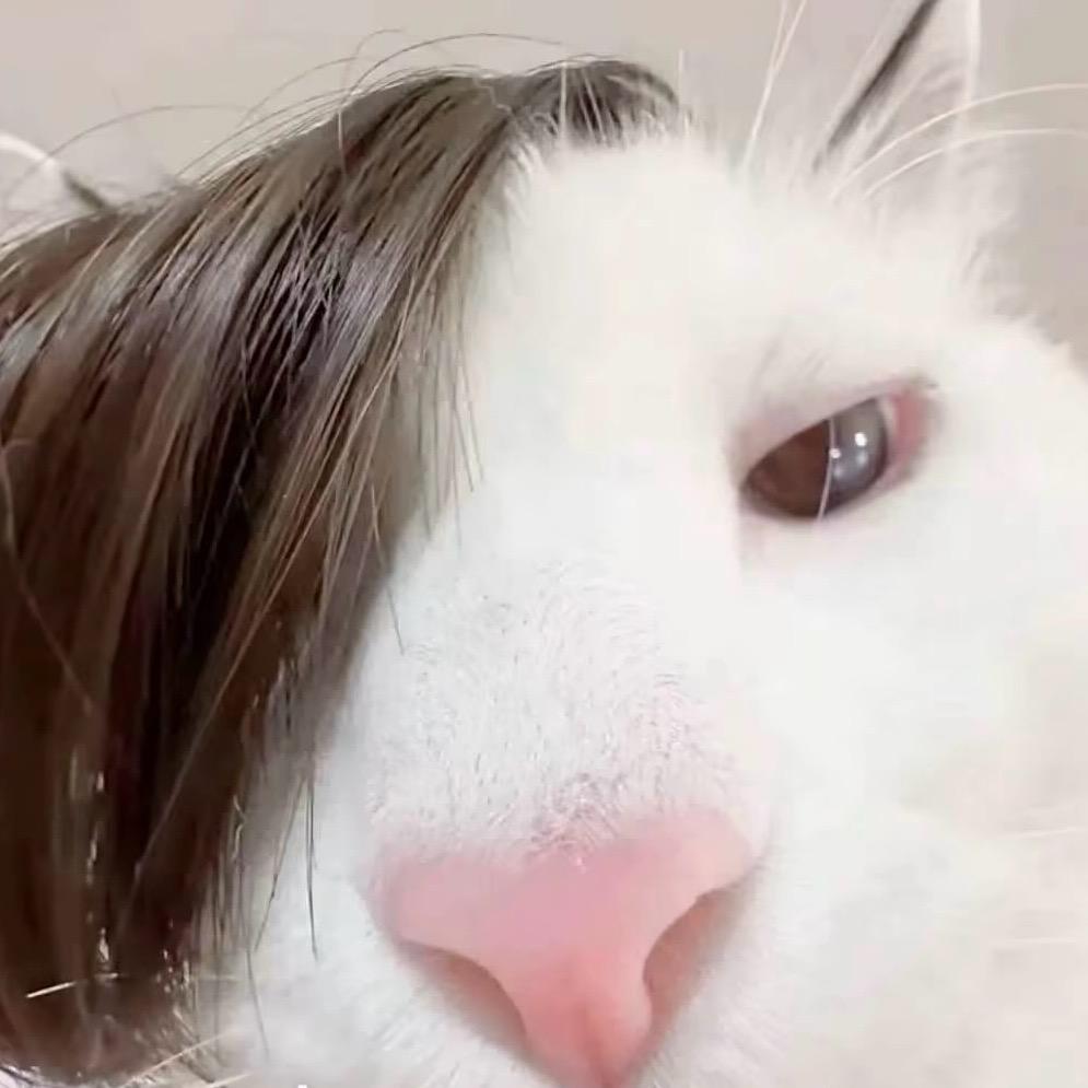特昂汤～