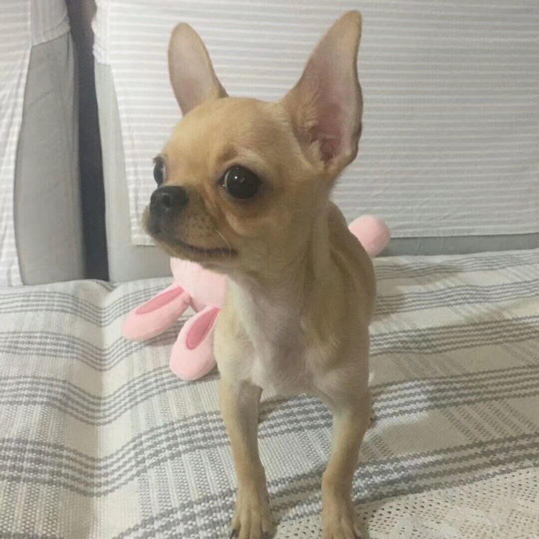 郑大钱🫡