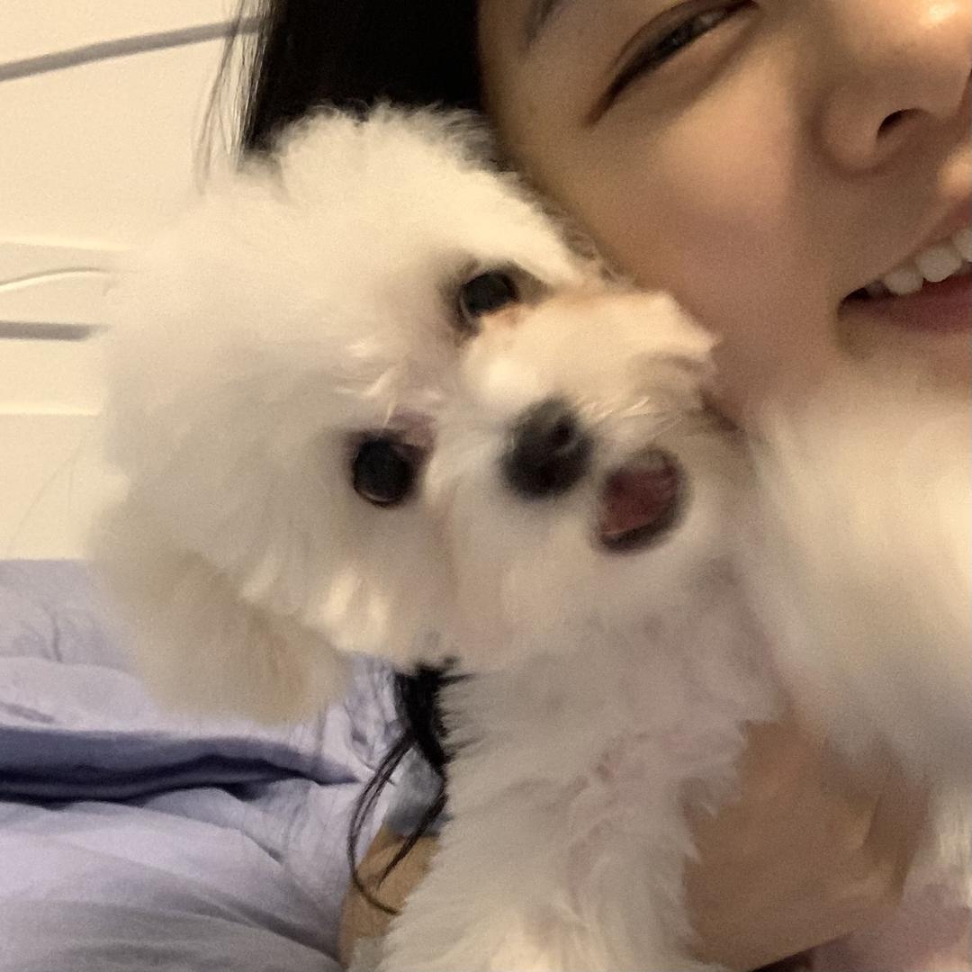 大小吴老板