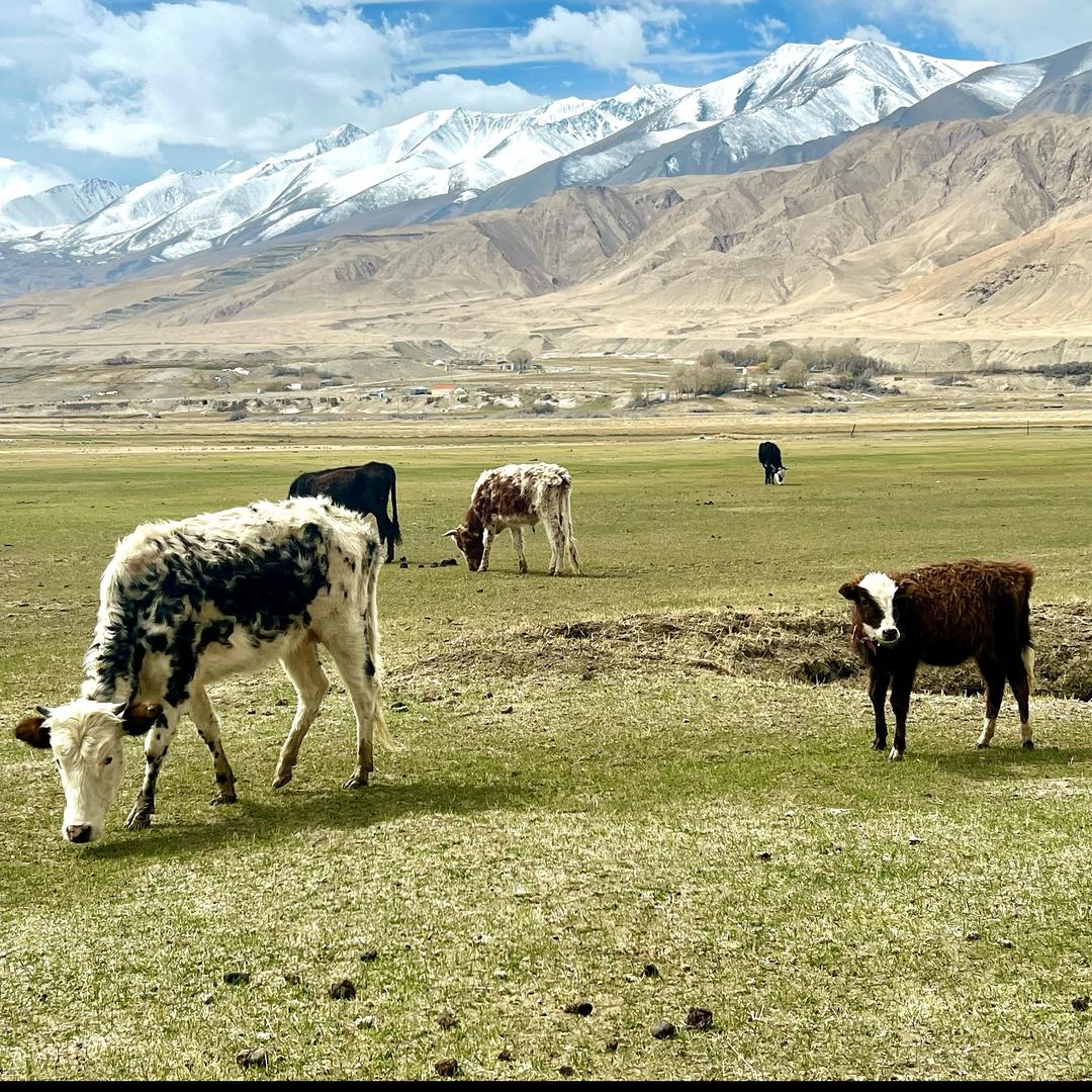 LivelyLife乐享生活馆