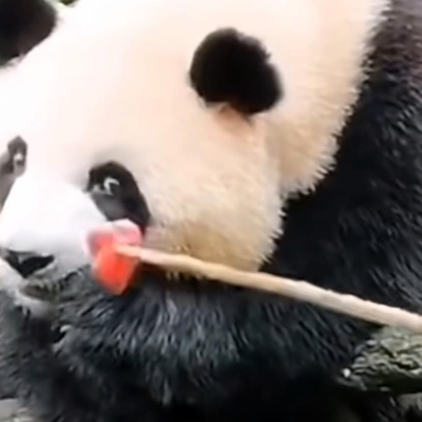 岁月无恙