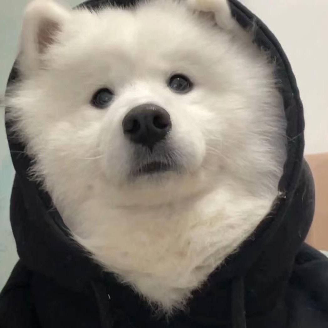 25h睡不醒