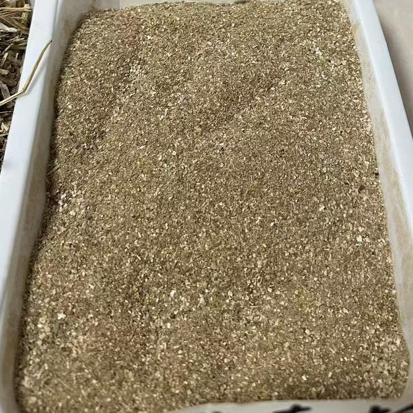 嘉益首播筹备中