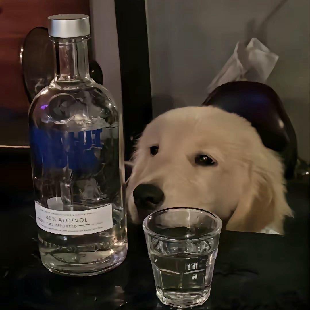到家就睡不醒