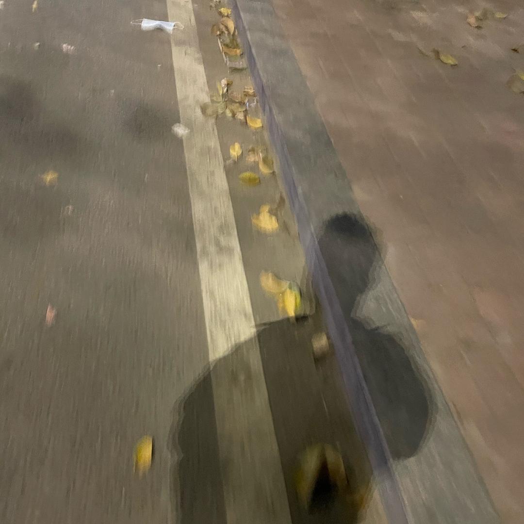 十一