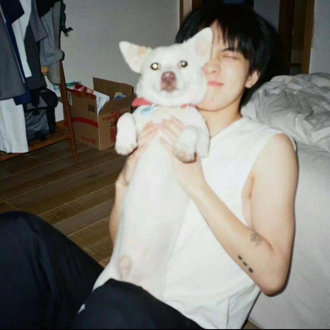 小熊