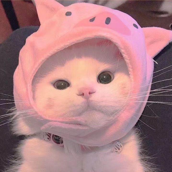 全程彦霖优选酒店（浴新街店）