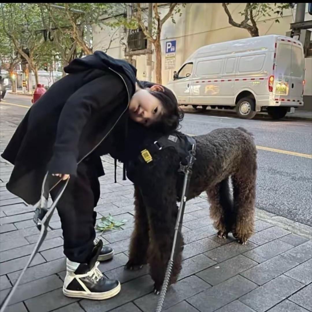 中不中