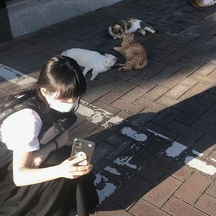 柳同学🦋