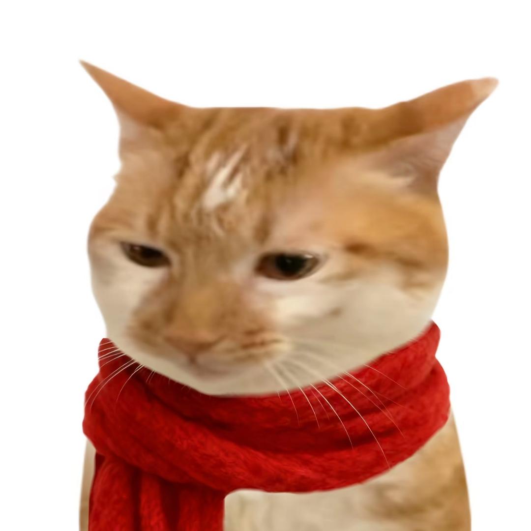 泠泠o3o