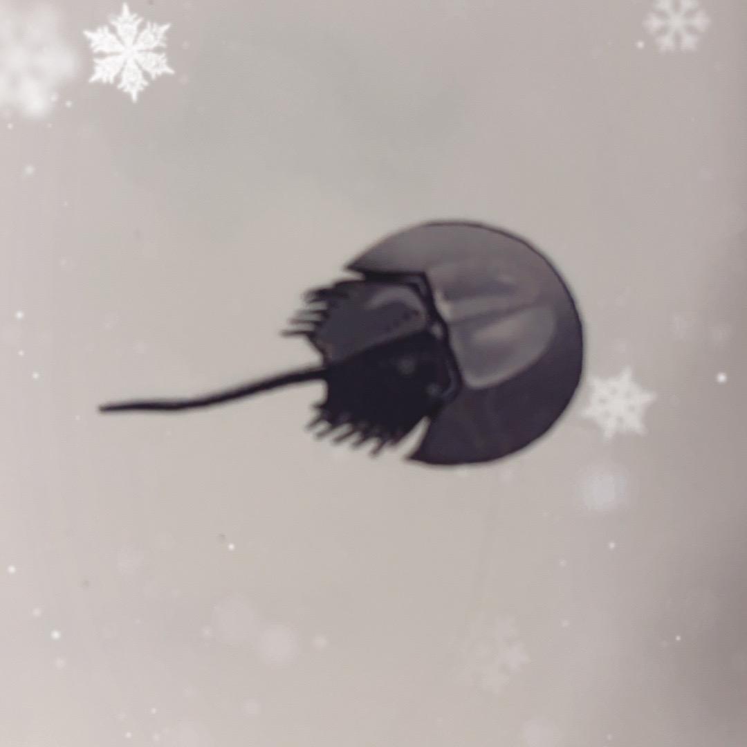 哪玩好国际贸易仓