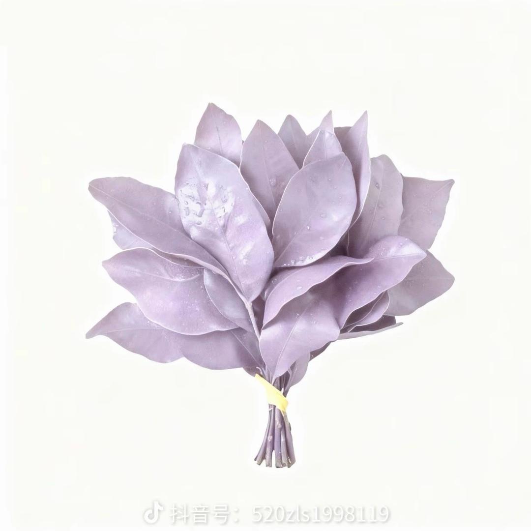 🌈✨好运爆棚🦊