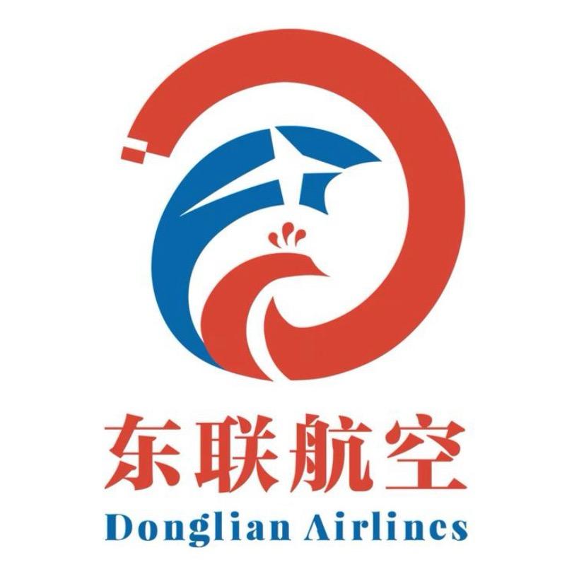 东联航空-丽洁
