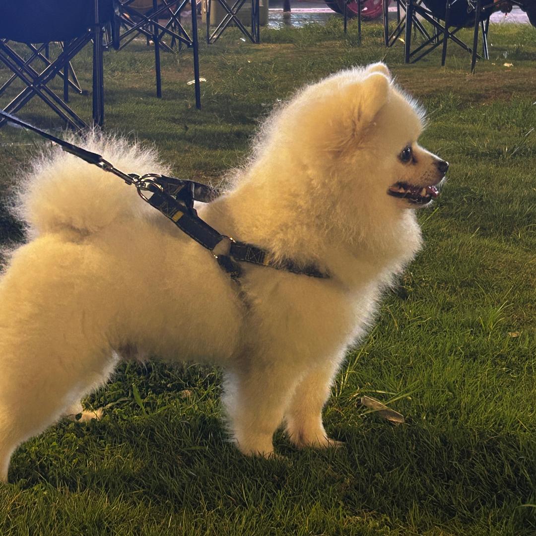 夢LIVE（红山店）