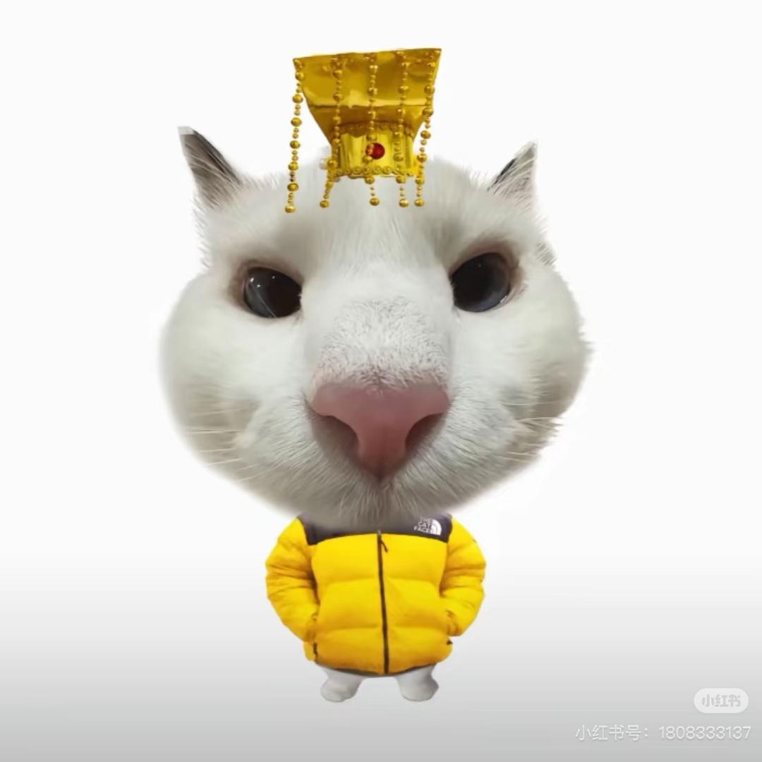 虾唱（半月板）