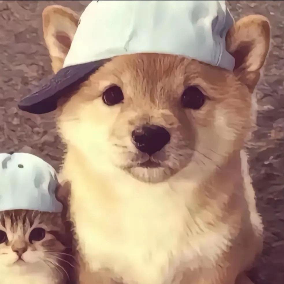 柒（zxy宝宝版）