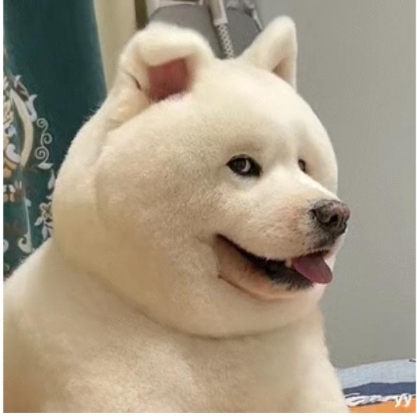 任士达