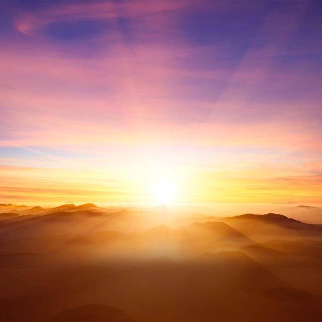 x向着太阳迎着光