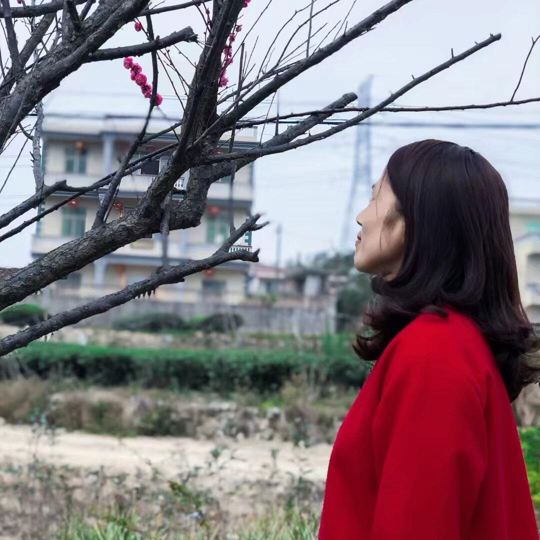 杨杨百货（橱窗下单）