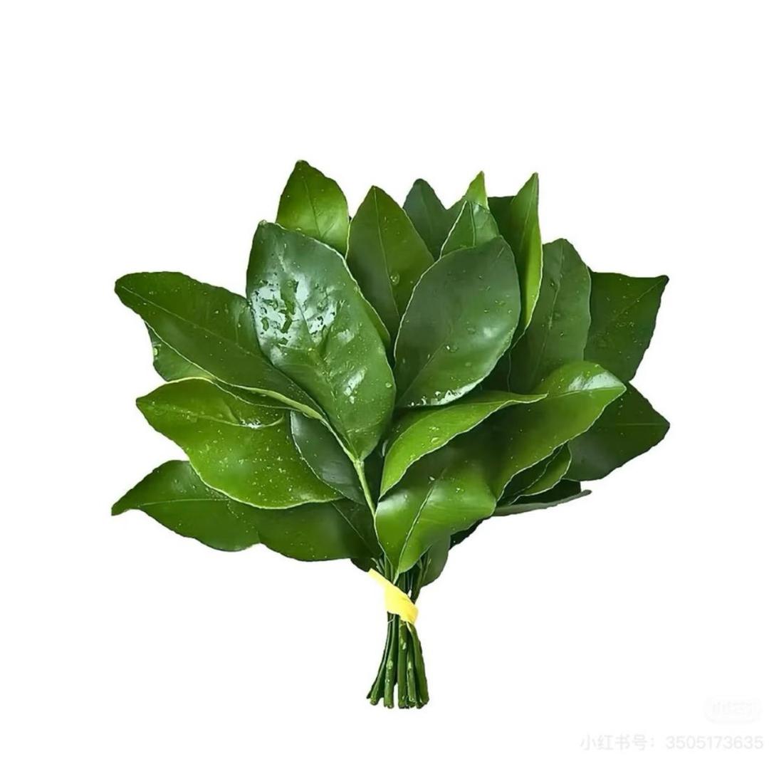 加冰🧊谢谢