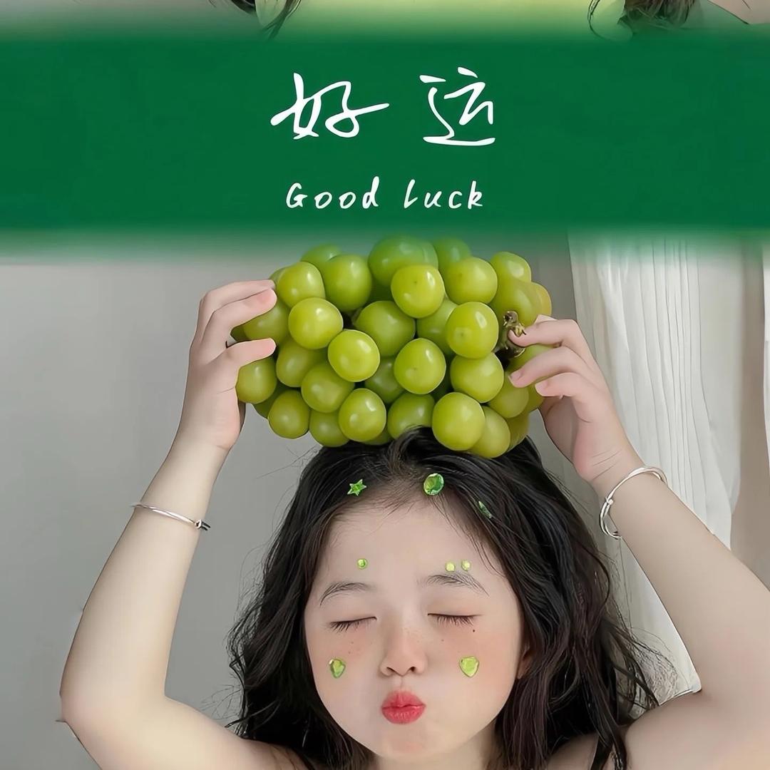 冰糖小吴芦🌱