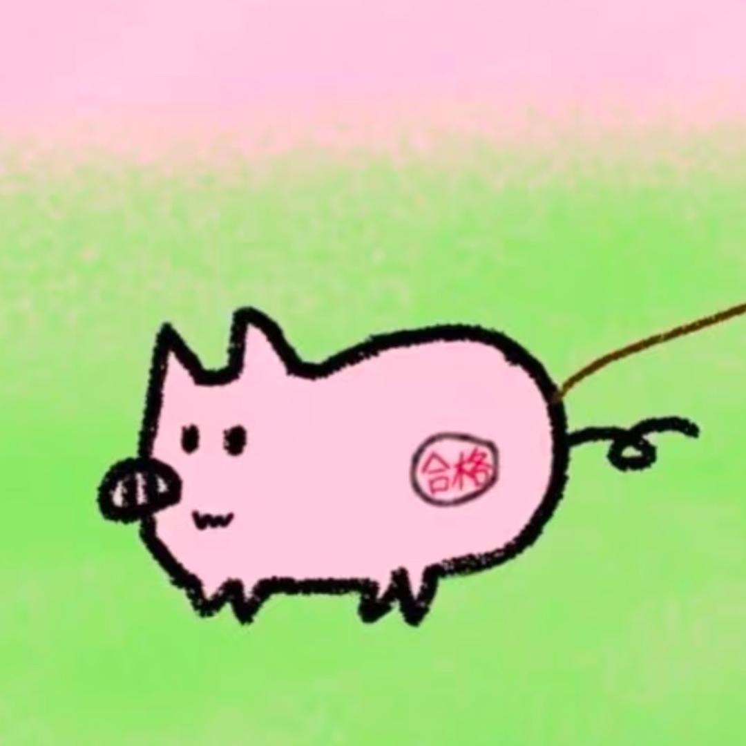 丸丸而已（SYT跨年有票版）