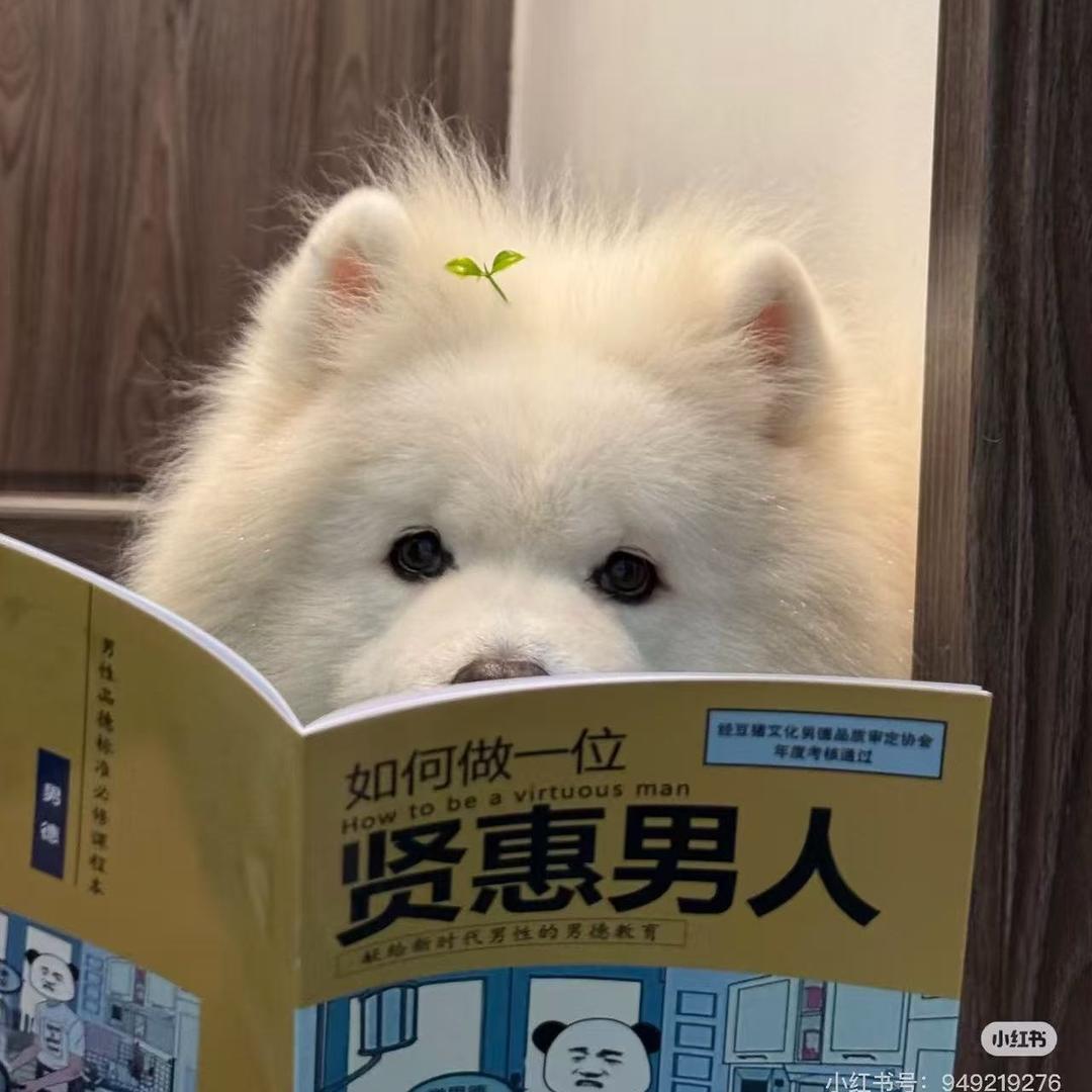 林有颜
