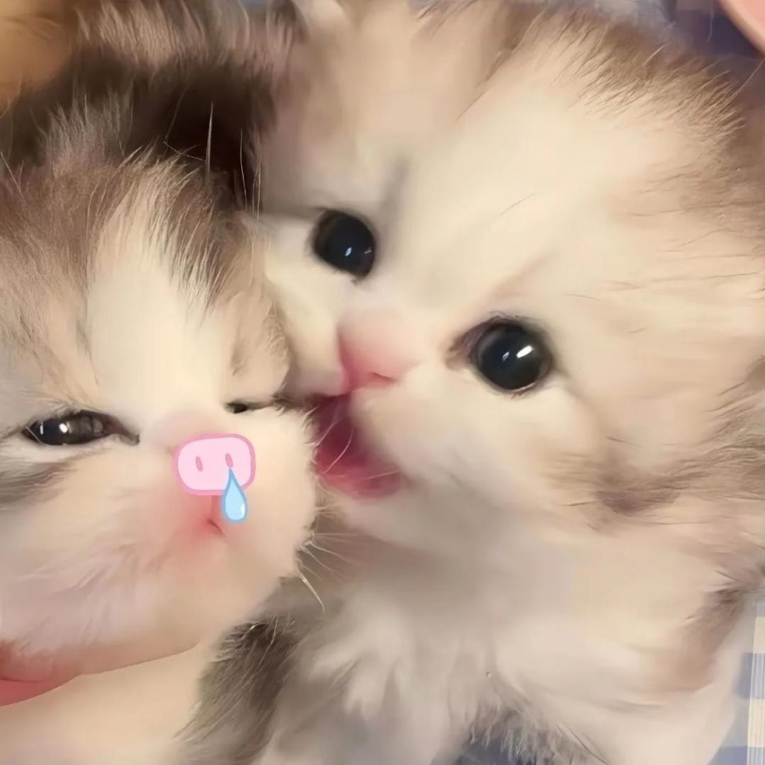 小᳐绿᳐੭ﾞ