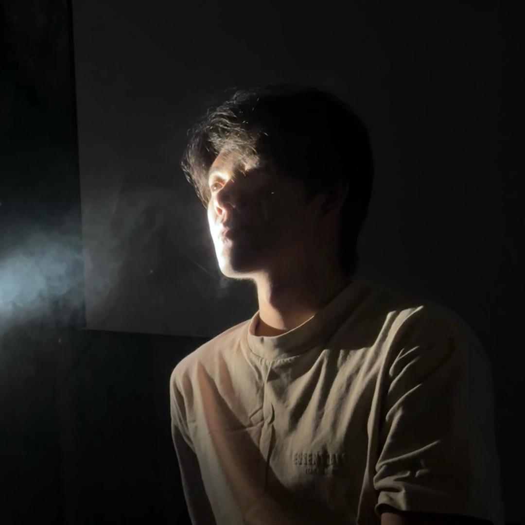 睡觉的小浣熊