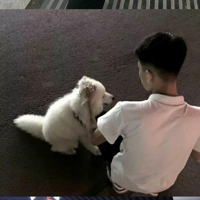 小u苏