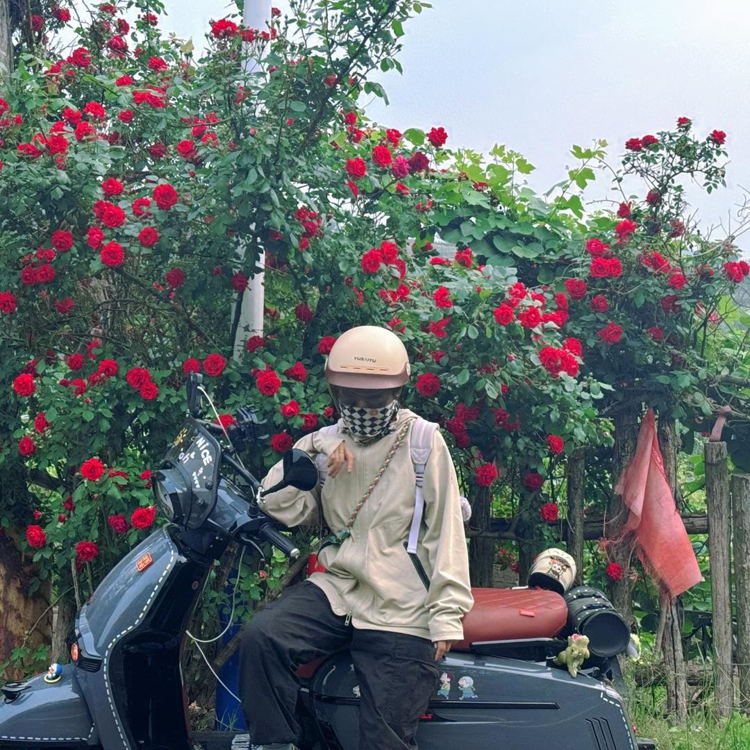 邓邓🏍