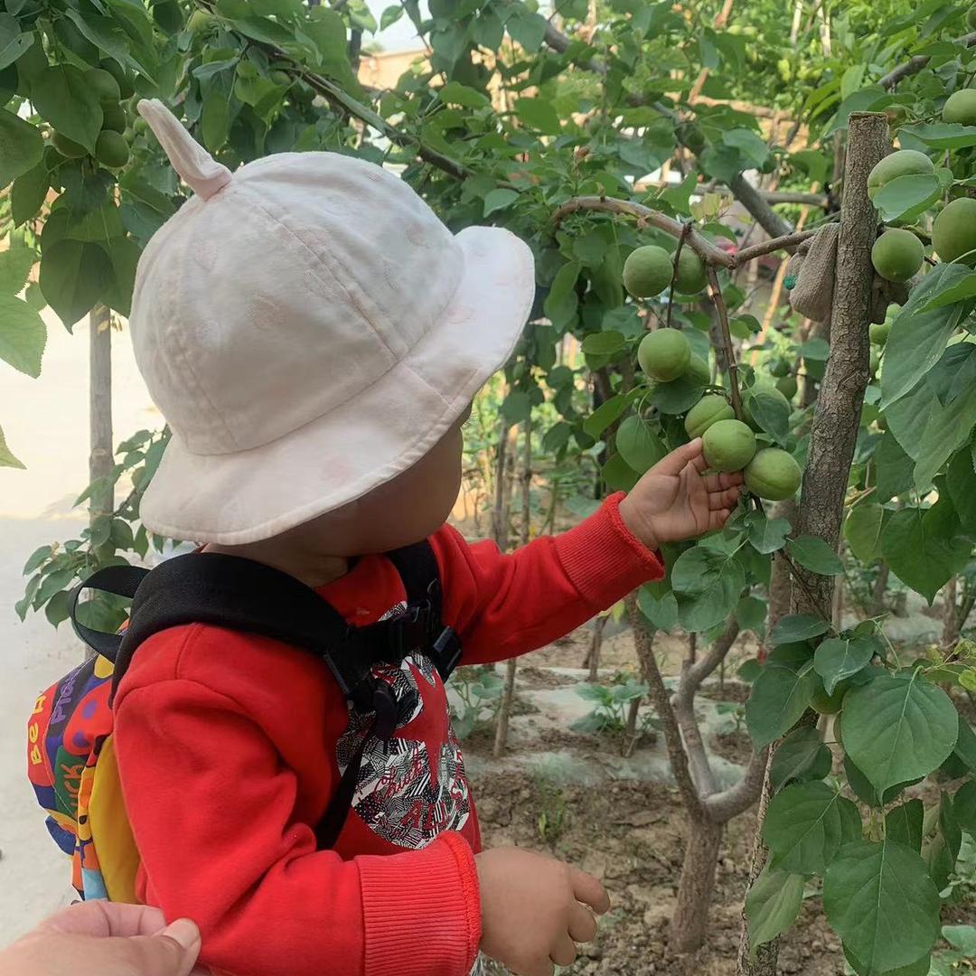 不想做牛马的马🐴🐏